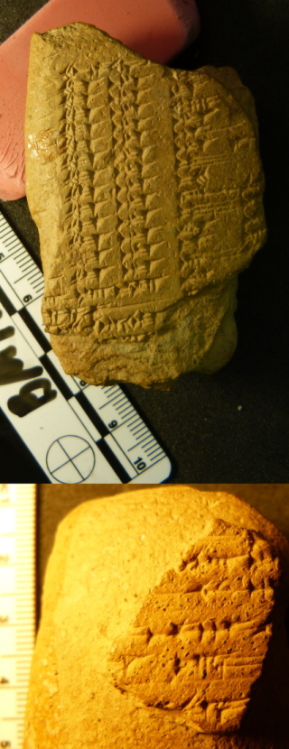 tablet